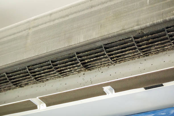Best Air Duct Cleaning Near Me  in Carbondale, KS